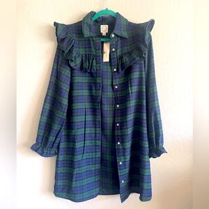 Francesca’s Flannel Dress